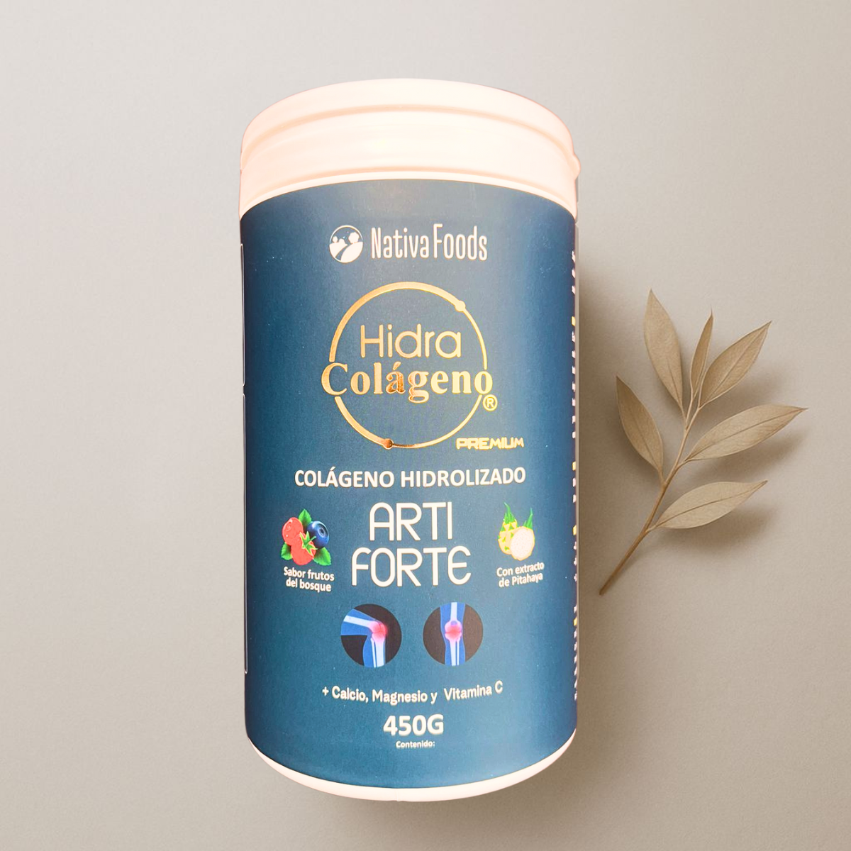 Diseño sin título (15)